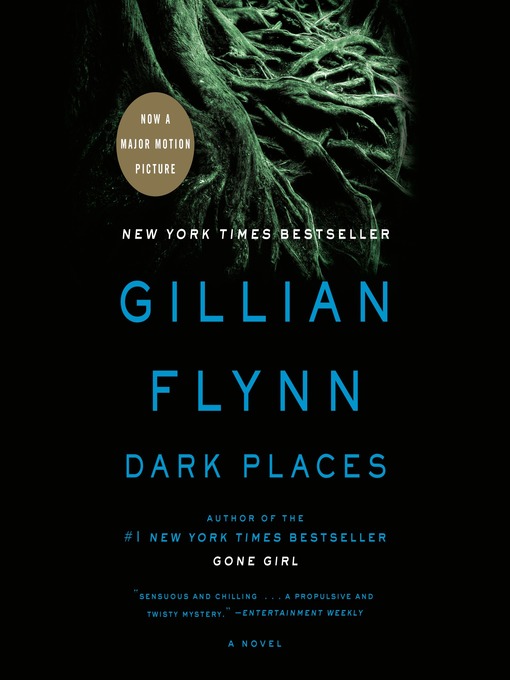 Upplýsingar um Dark Places eftir Gillian Flynn - Til útláns